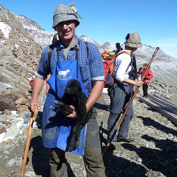 Junger Hirte mit Schaf - Schafübertrieb Vent