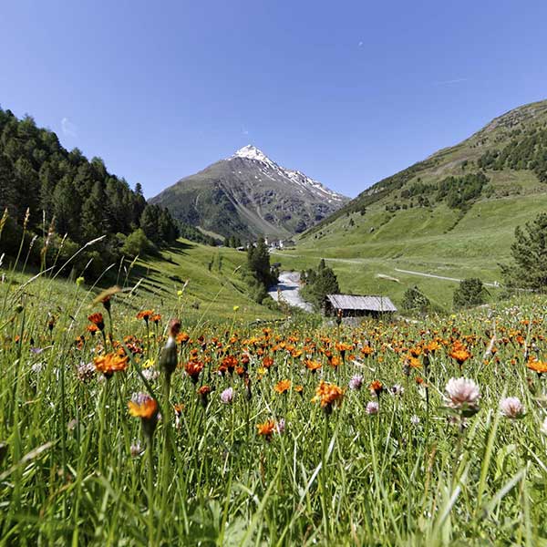 Blick auf Vent im Sommer - Naturpark Ötztal