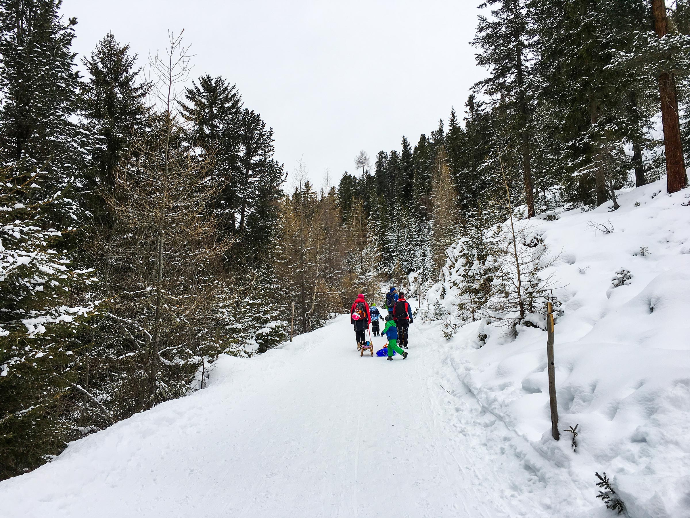 Auf dem Weg zur Feldringalm - Rodeln Ötztal